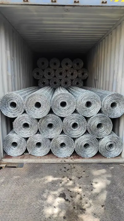 2m x 50m Hot-Dipped Galvanized Rockfall Netting - For Falling Rock Prevention
